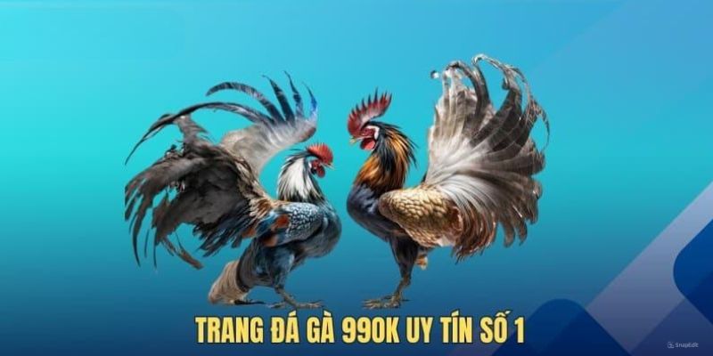 Thông tin về đá gà 99OK
