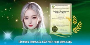 Tầm quan trọng khi sở hữu giấy tờ uy tín